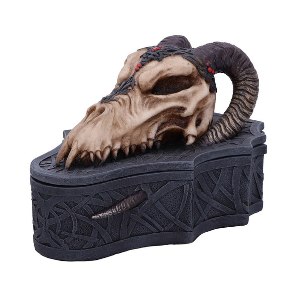 Dragon Skull Box