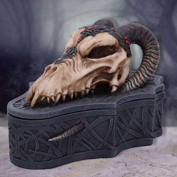 Dragon Skull Box