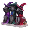 Three Wise Witchy Kittys