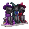 Three Wise Witchy Kittys