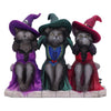 Three Wise Witchy Kittys