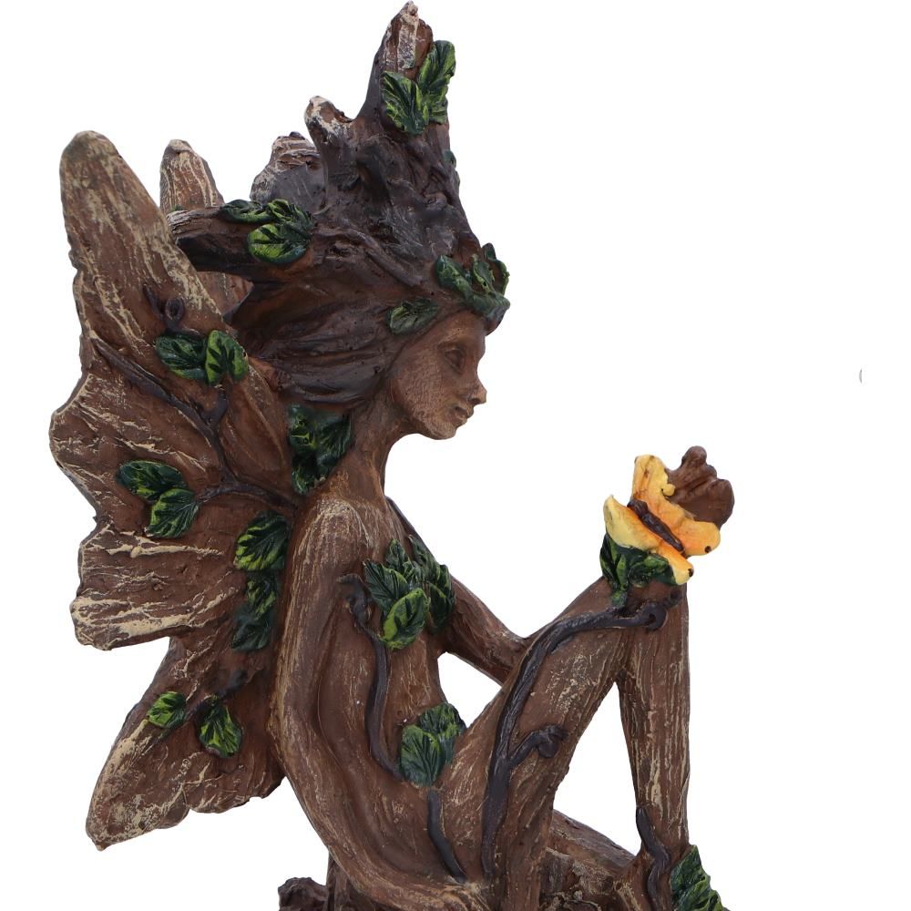 Woodland Beauty