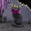 Furgus