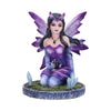 Crystal Fairy Violet