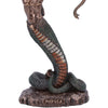 Medusas Wrath (Medium)