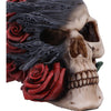Soul Rose