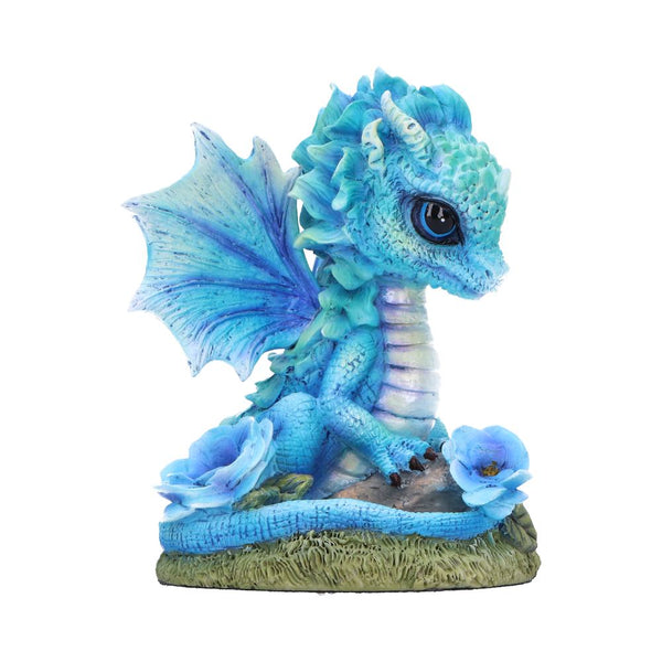 Blue Poppy Flower Dragon