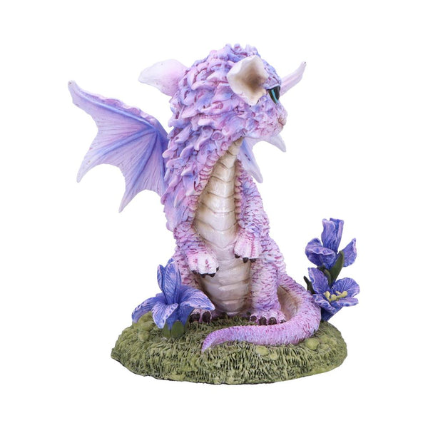 Iris Flower Dragon