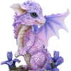 Iris Flower Dragon