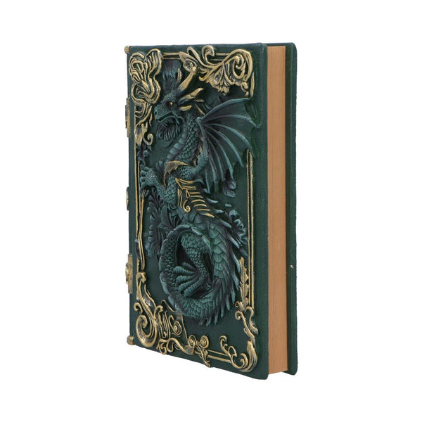 Dragons Grimoire Journal