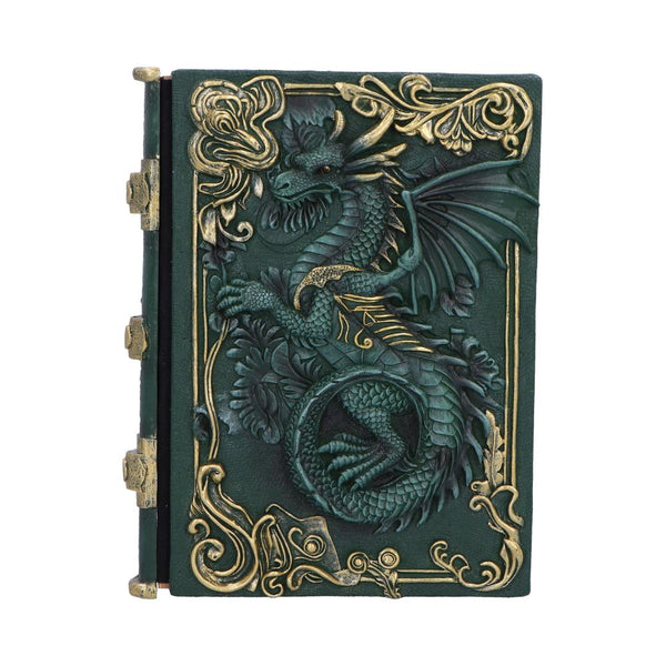 Dragons Grimoire Journal