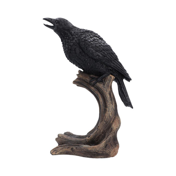 Ravens Caw