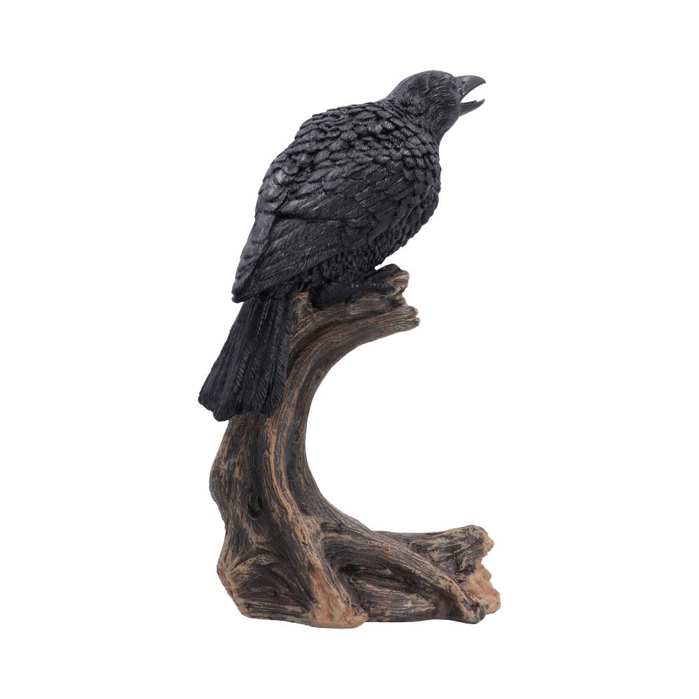 Ravens Caw