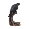 Ravens Caw