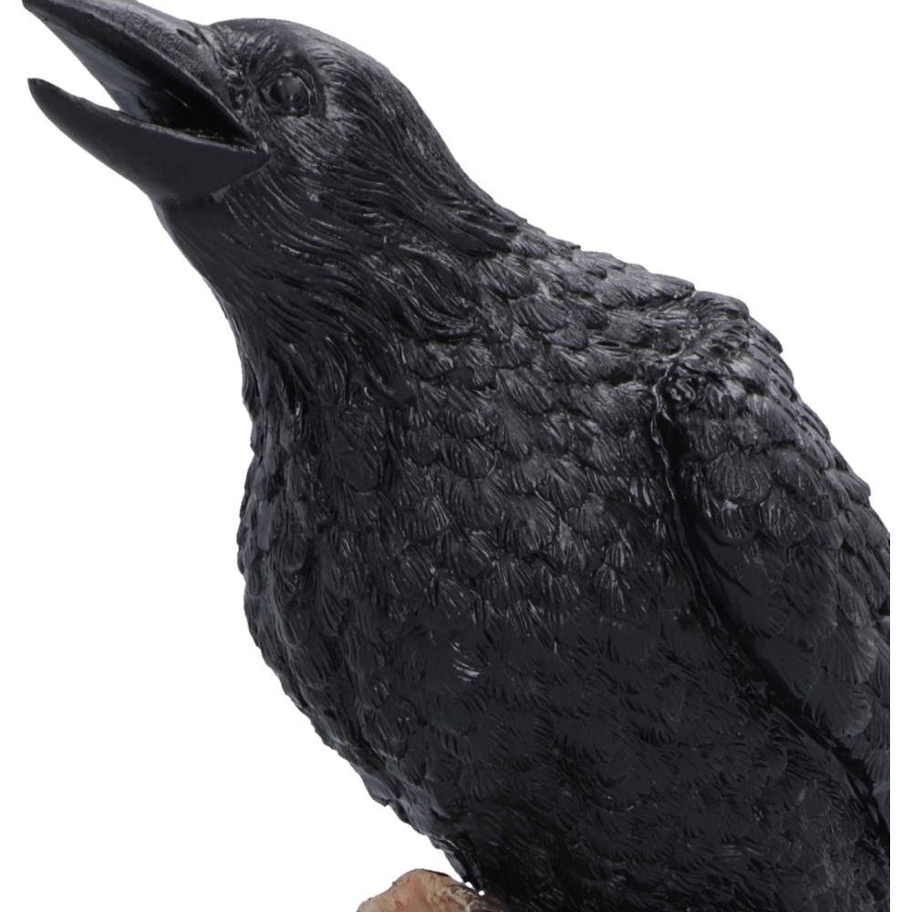 Ravens Caw