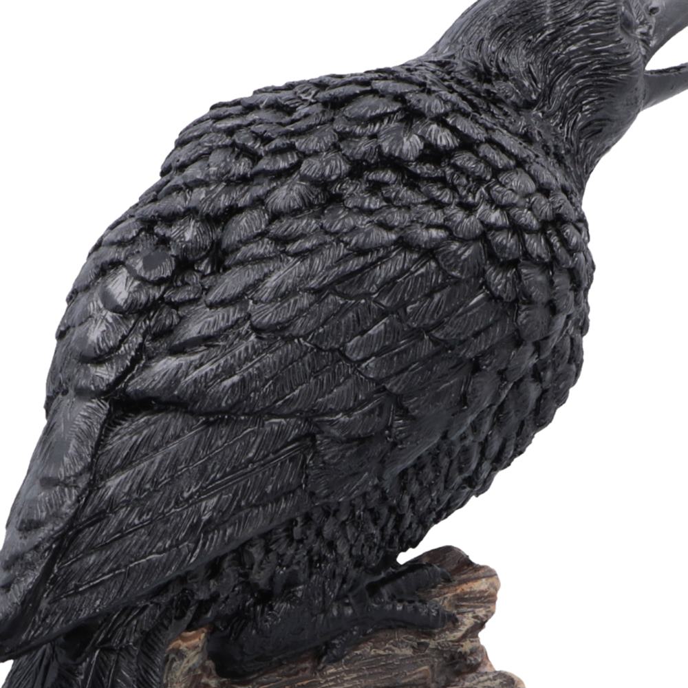 Ravens Caw