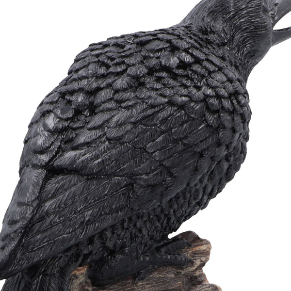 Ravens Caw