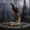 Ravens Caw