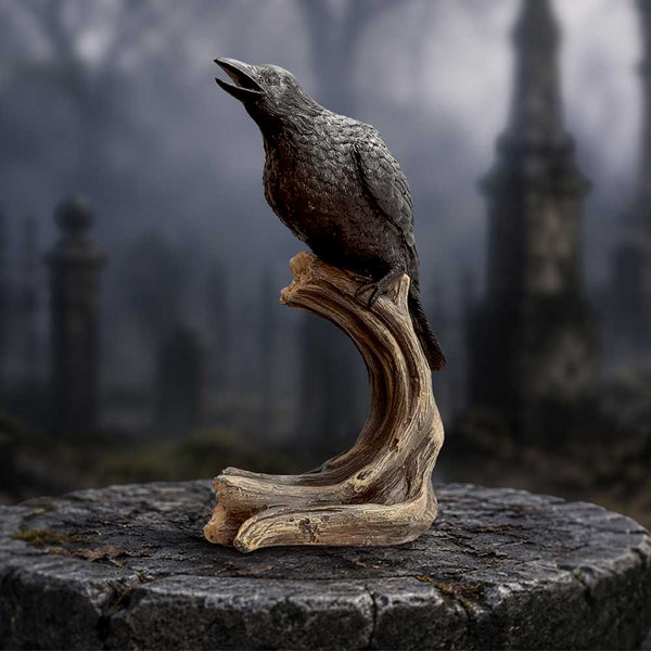 Ravens Caw