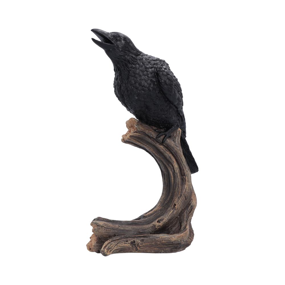 Ravens Caw
