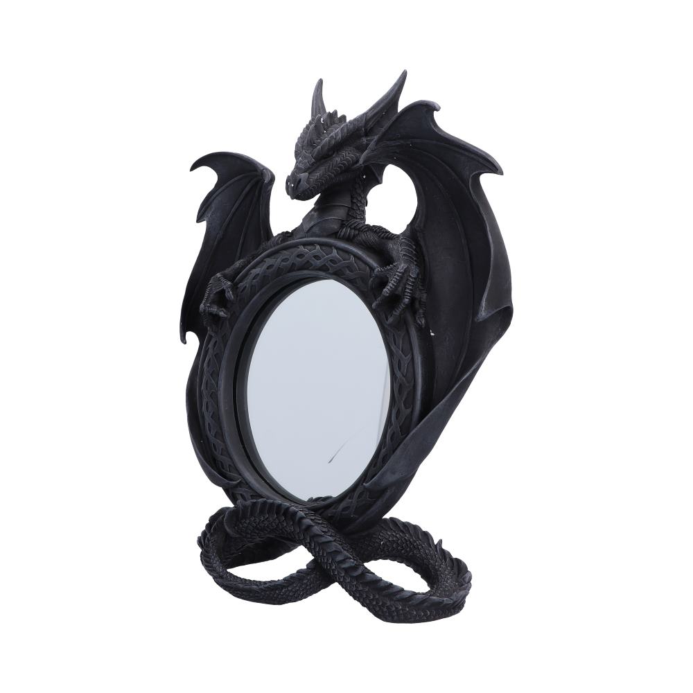 Darkwing Reflection