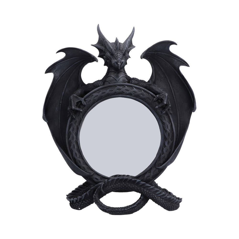 Darkwing Reflection