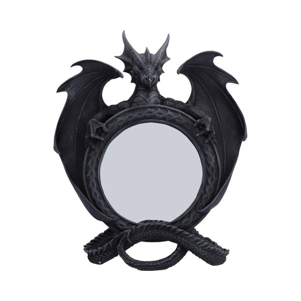 Darkwing Reflection