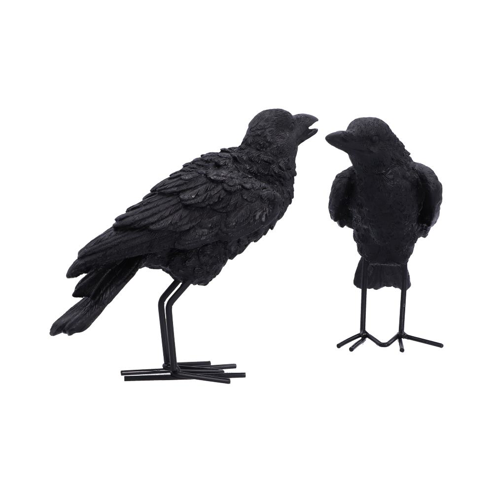 Watchful Pair