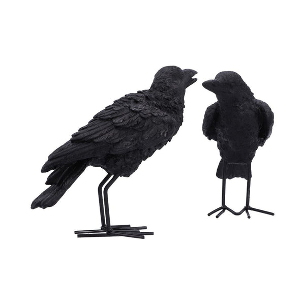 Watchful Pair