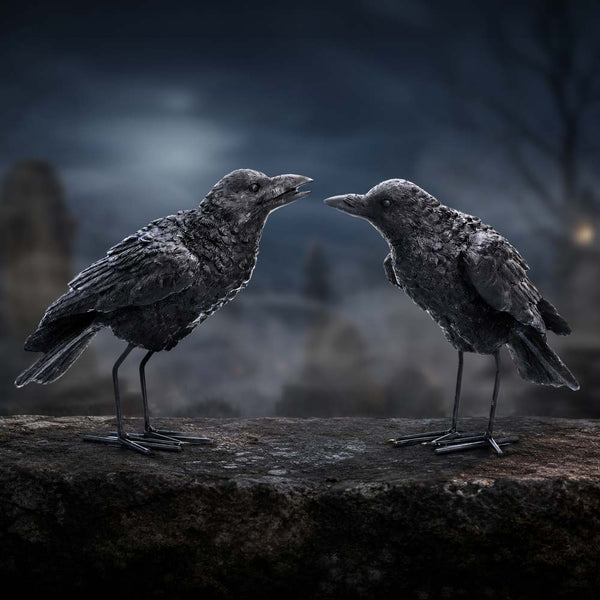 Watchful Pair