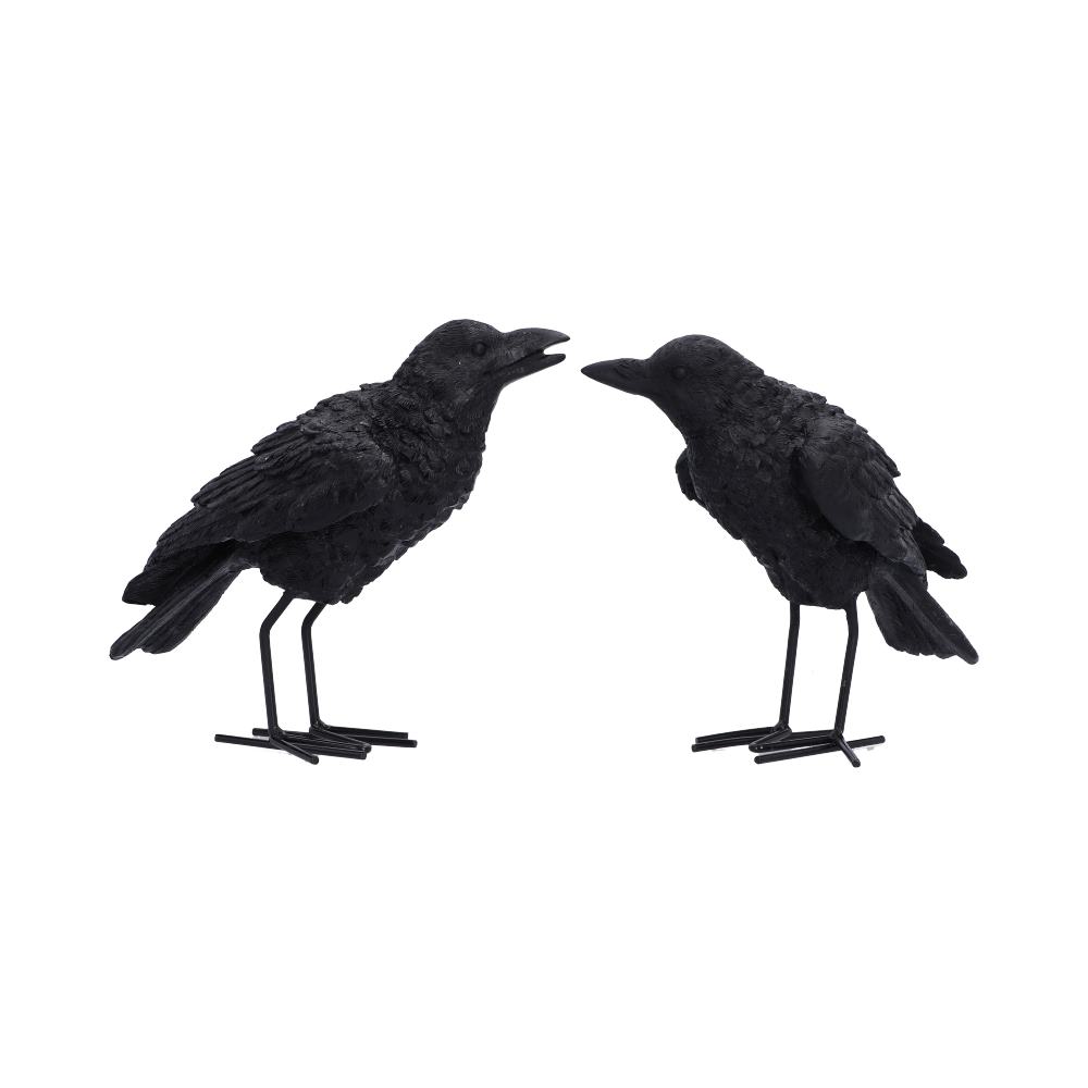 Watchful Pair