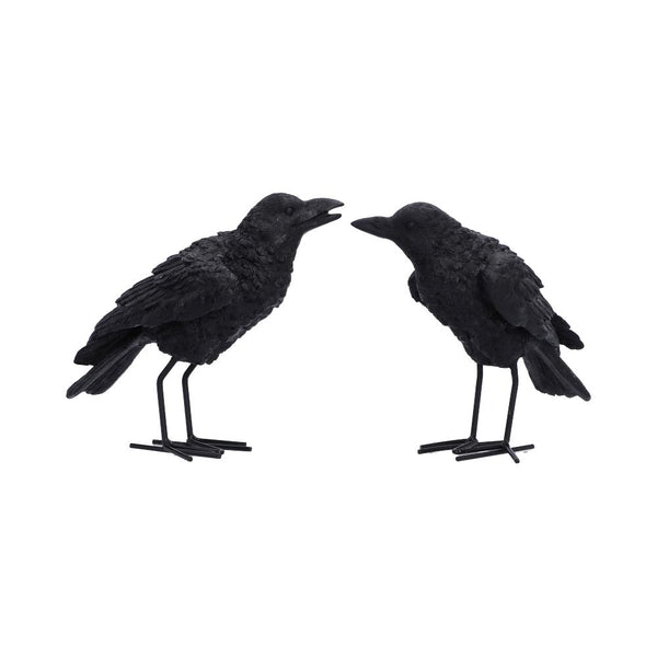 Watchful Pair