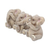 Three Baby Elephants