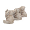 Three Baby Elephants