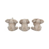 Three Baby Elephants