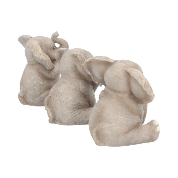 Three Baby Elephants