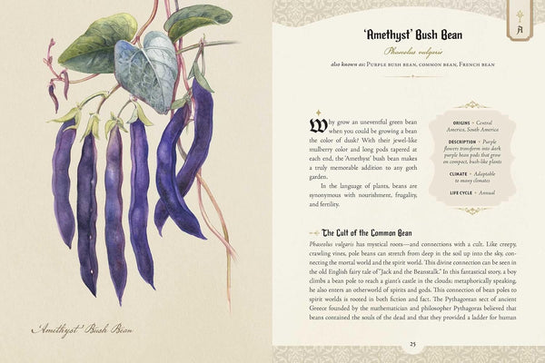 The Goth Garden - Felicia Feaster