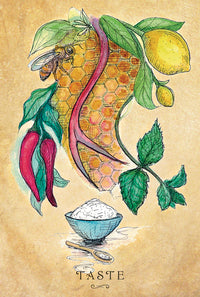 Anatomy Of A Witch Oracle