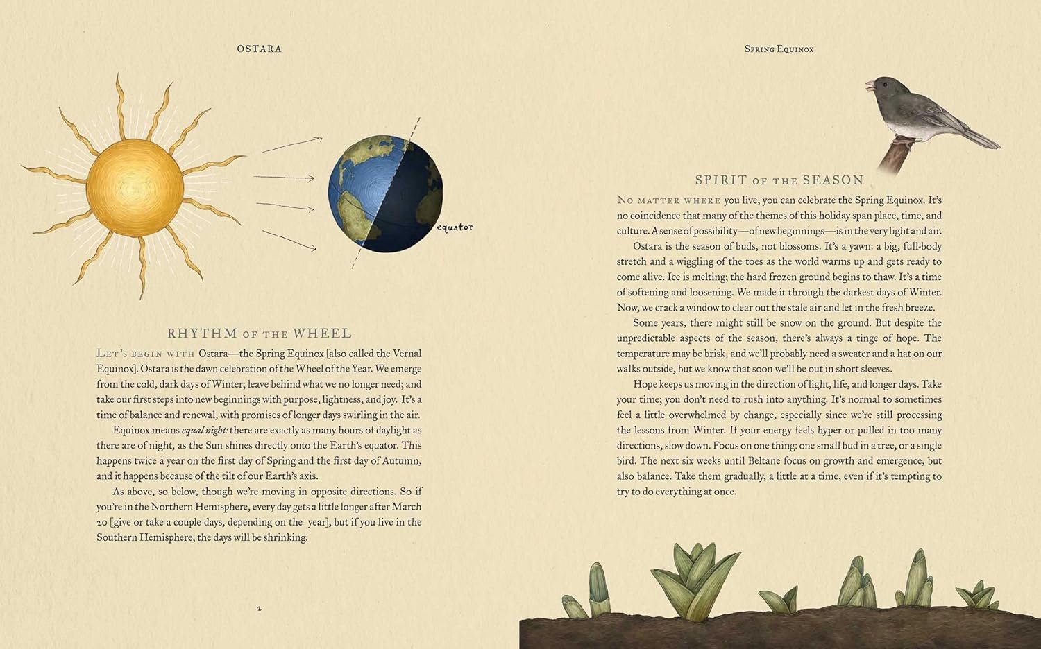 The Wheel Of The Year - Fiona Cook & Jessica Roux