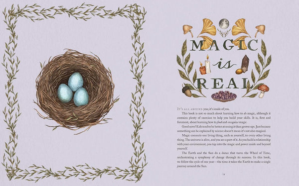 The Wheel Of The Year - Fiona Cook & Jessica Roux