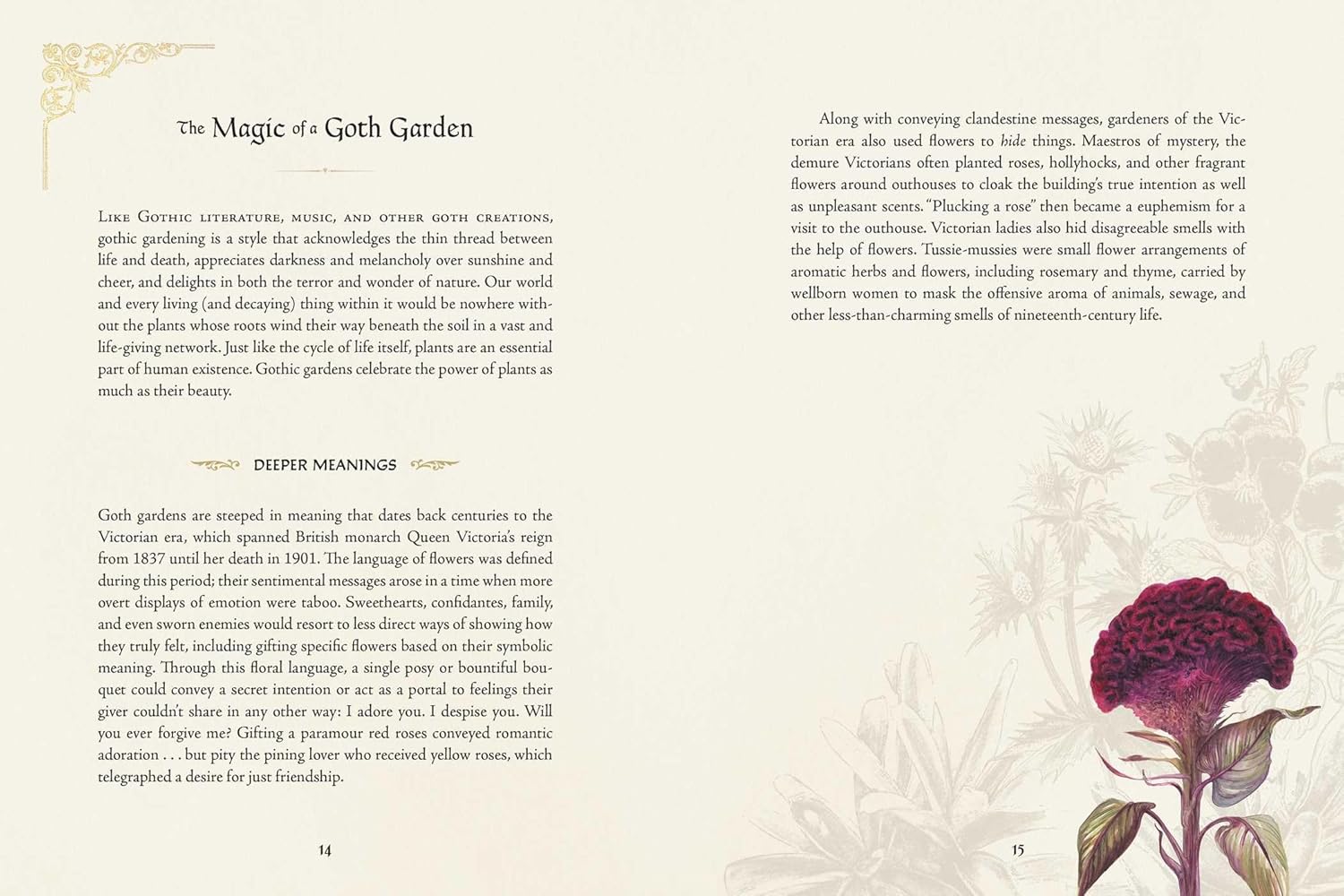 The Goth Garden - Felicia Feaster