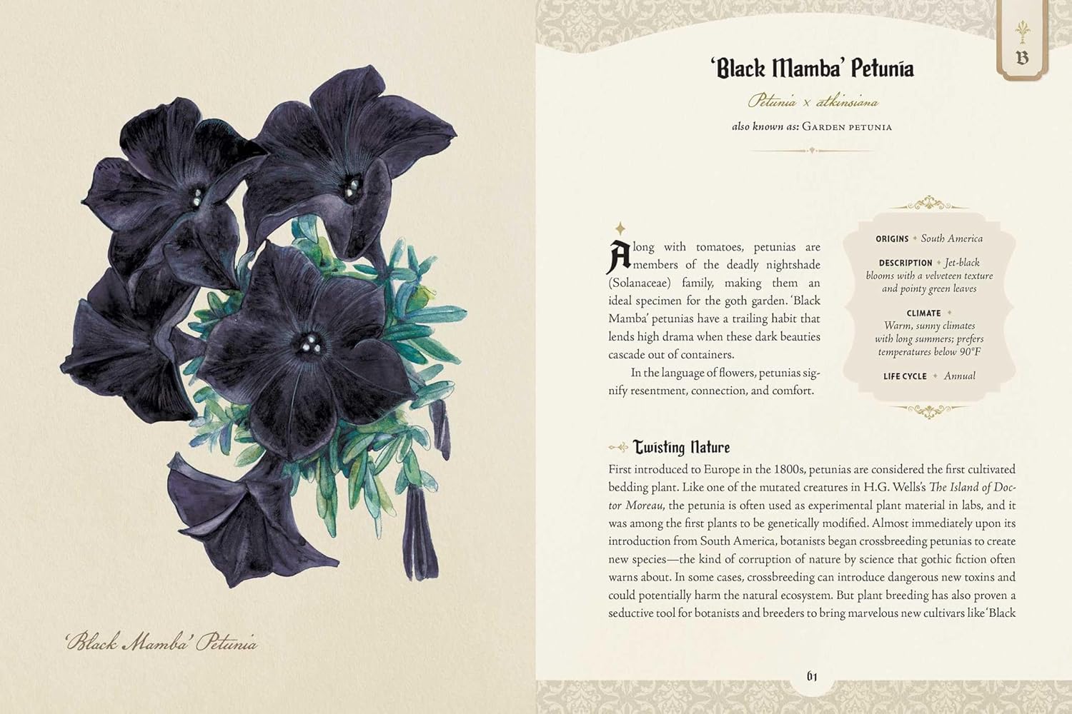 The Goth Garden - Felicia Feaster