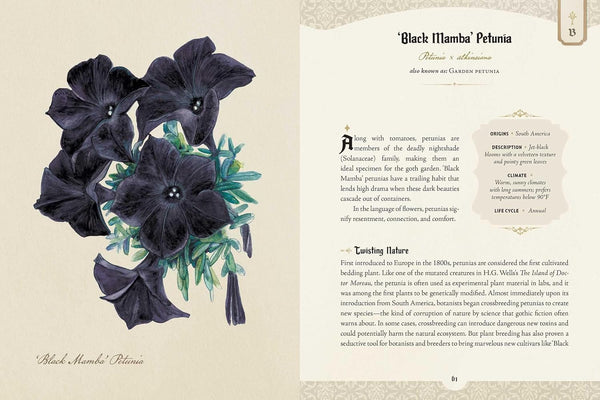 The Goth Garden - Felicia Feaster