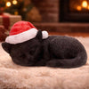 Merry Whiskers