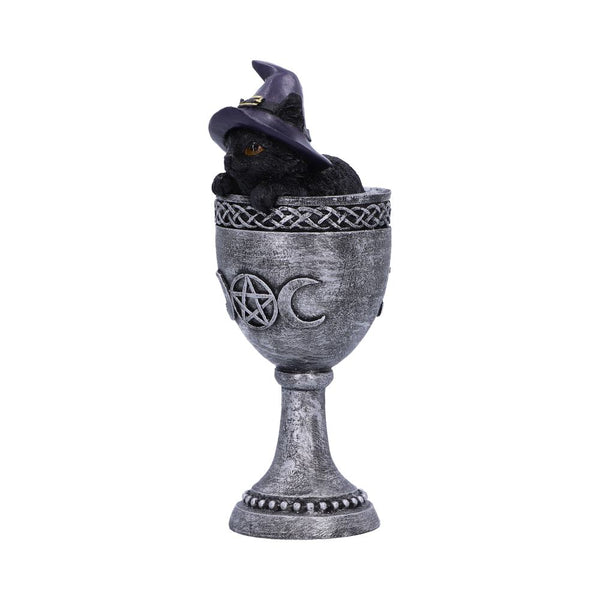 Coven Cup