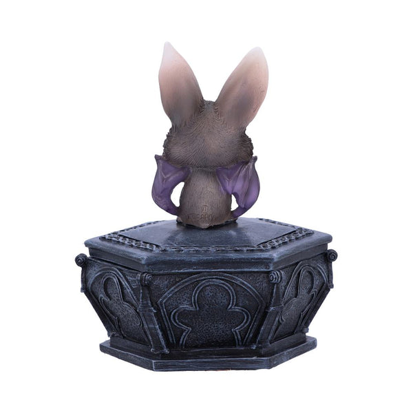 Batty Box