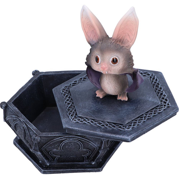 Batty Box