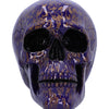 Indigo Elegance