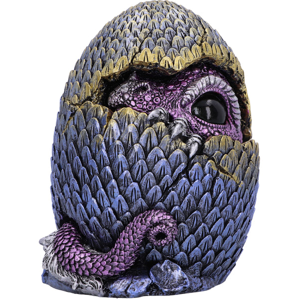Hidden Hatchling