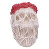 The Veil